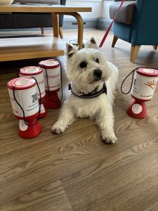 DONATIONS RAISED IN MEMORY OF MRS WENDY JONES